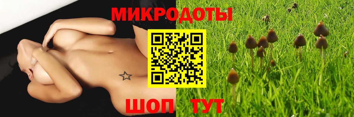 Псилоцибиновые грибы Psilocybine cubensis  Вход с VPN  Кудрово 